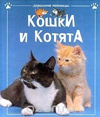 Кошки и котята энц