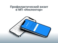 инс